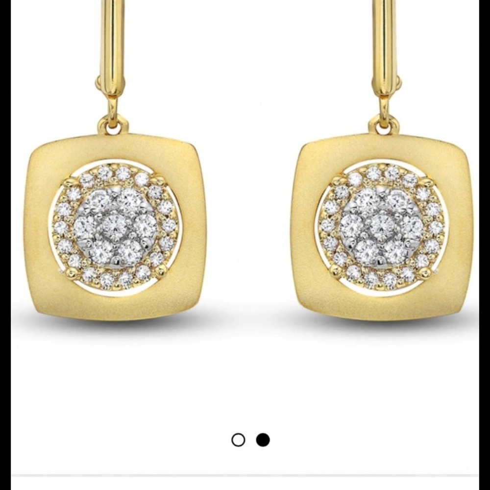 Elegant Gold and Silver Earrings